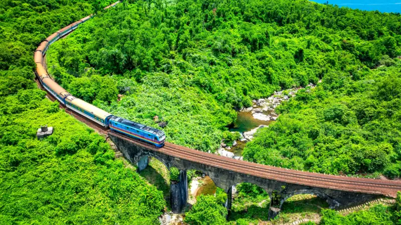 Zug fährt über ein Viadukt durch eine grüne Waldlandschaft